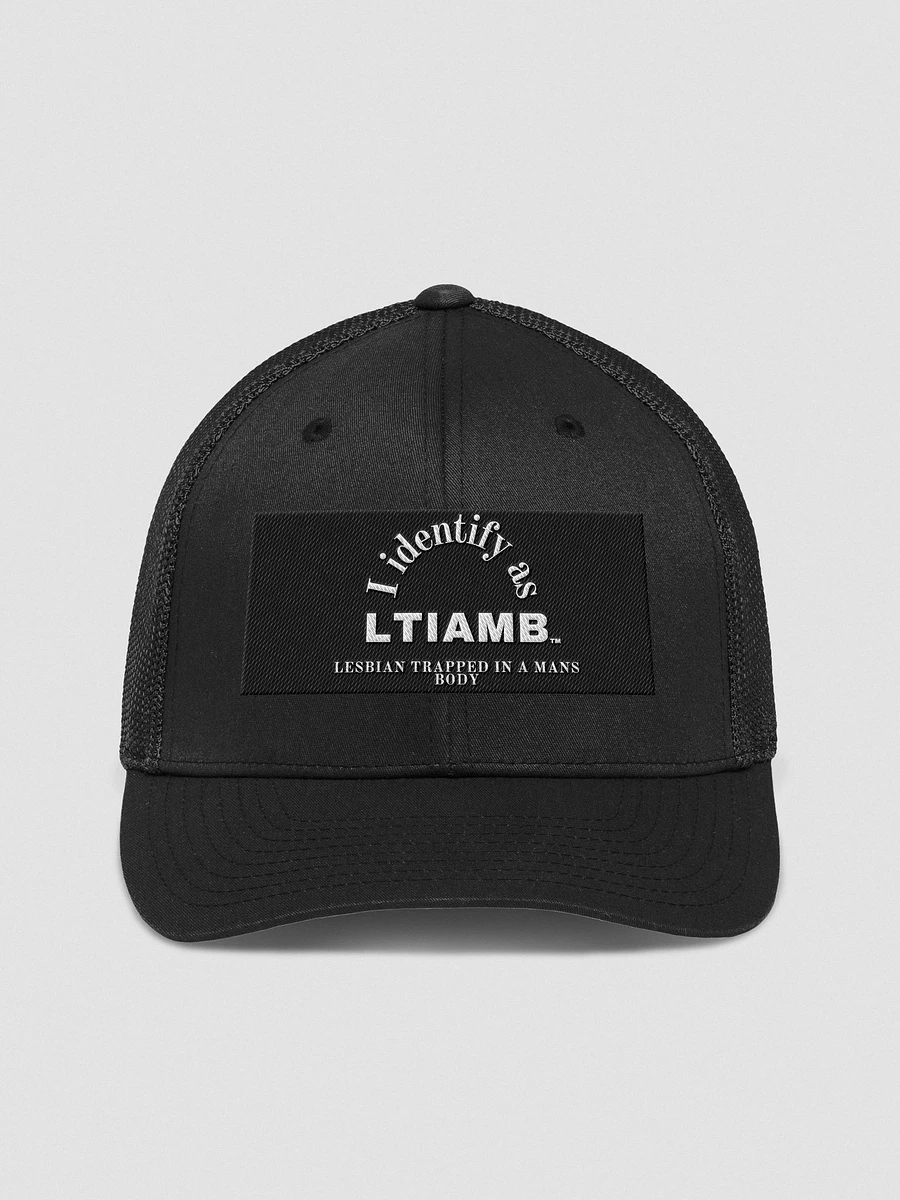 LTIAMB trucker HAT product image (1)