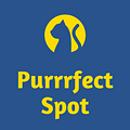Purrrfect Spot