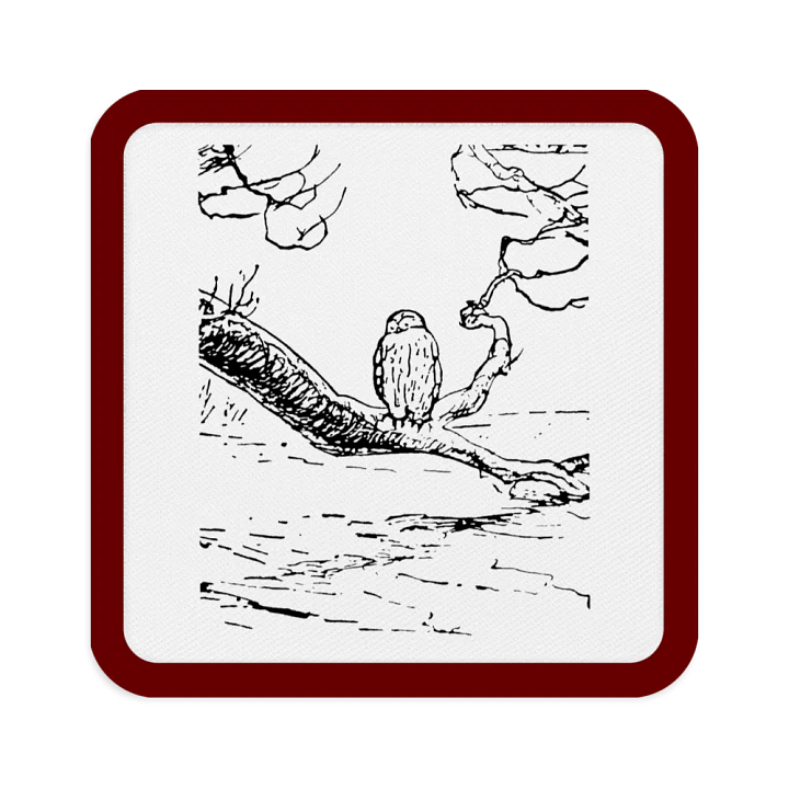 Embroidered Owl Patch product image (1)