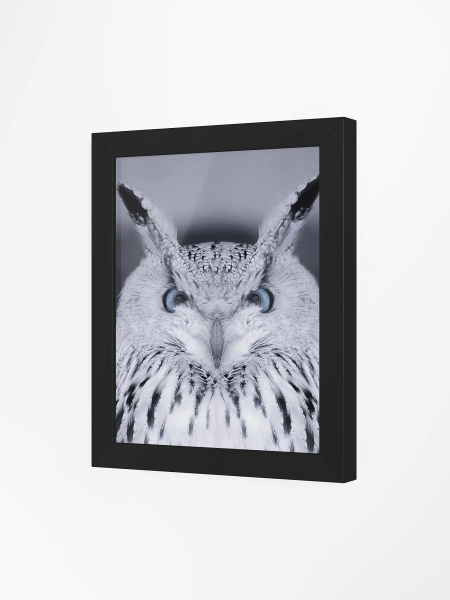 Symmetrical Owl Wisdom Framed Poster product image (75)