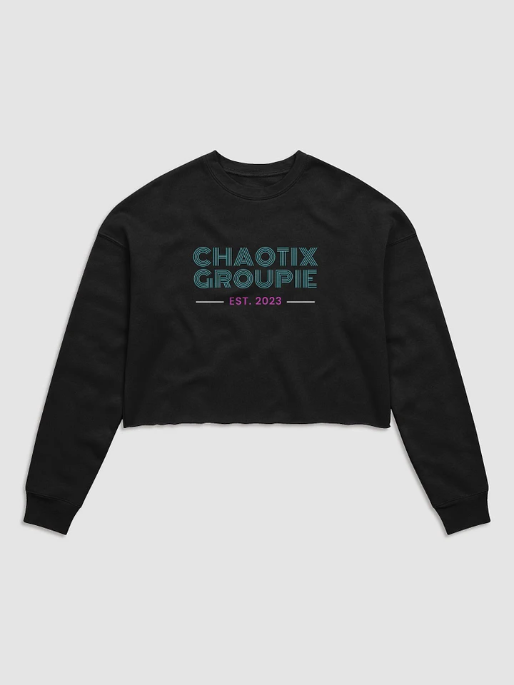 Chaotix Groupie Cropped Sweatshirt product image (3)