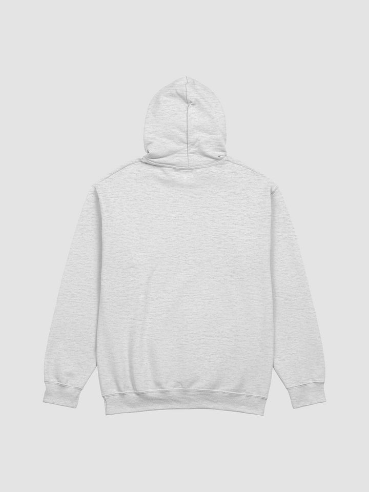PSYCHEDELICS FOR POLITICIANS - Hoodie product image (8)