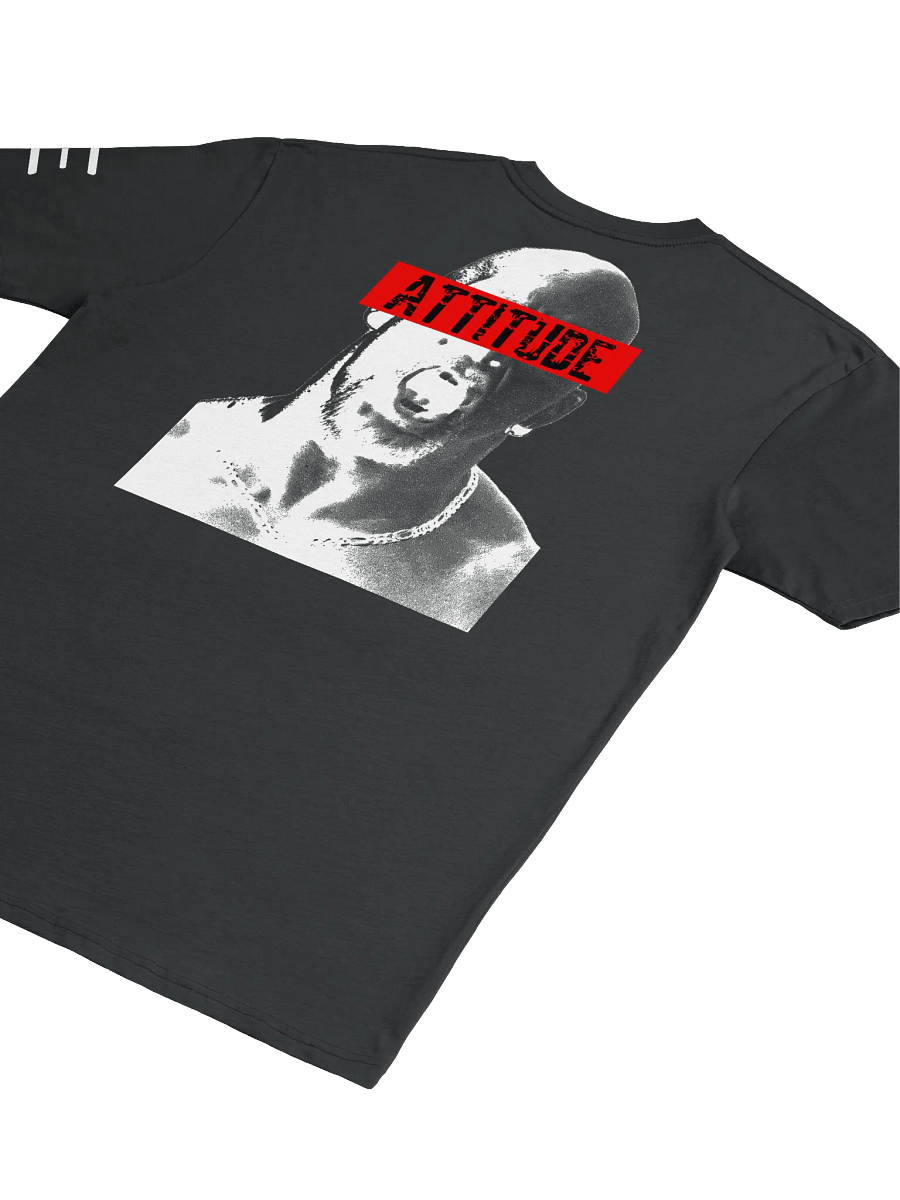 Attitude: Austin Heavyweight Tee product image (4)