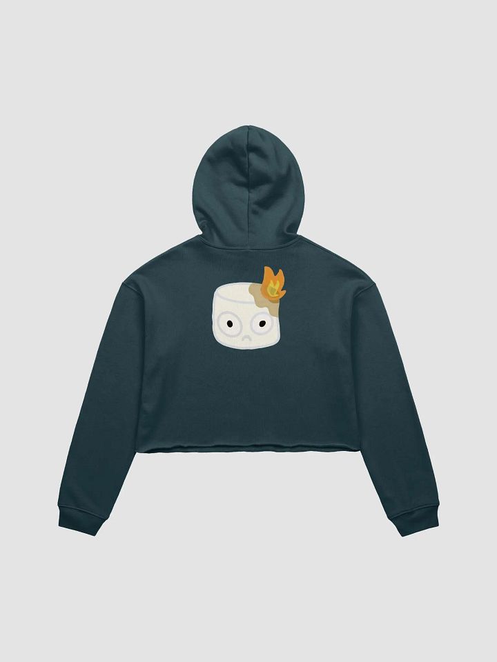 Toasty Crop Hoodie (Back) product image (2)