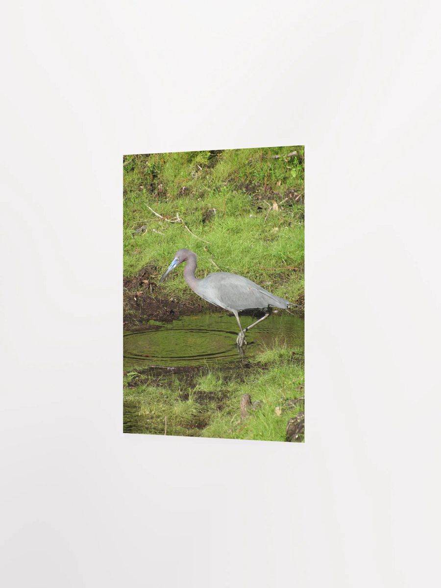 Heron 2 product image (25)