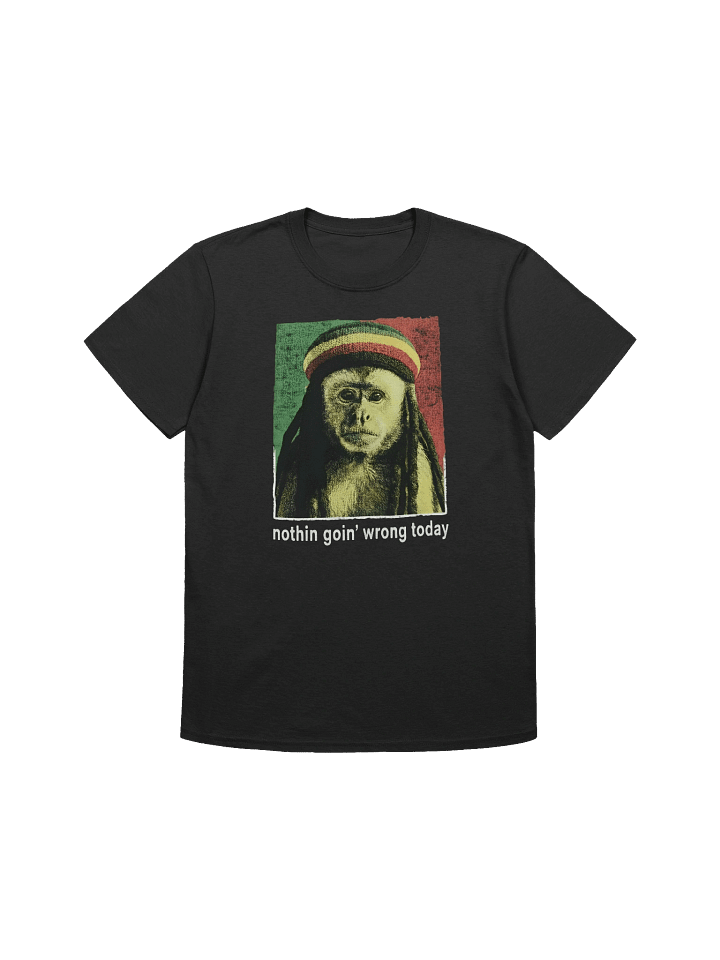 Nothin Goin' Wrong Today T-Shirt product image (1)