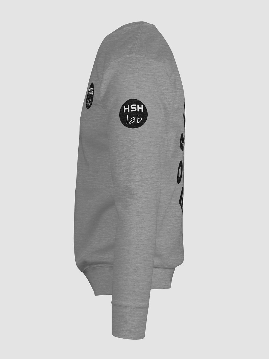 HSH-lab - Cotton Premium Sweatshirt (unisex) product image (11)