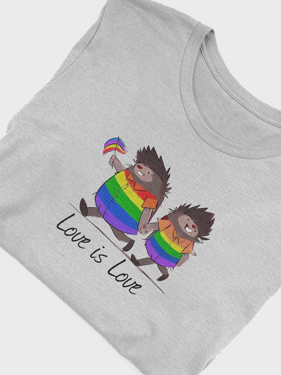 Love is Love Porcupine product image (21)