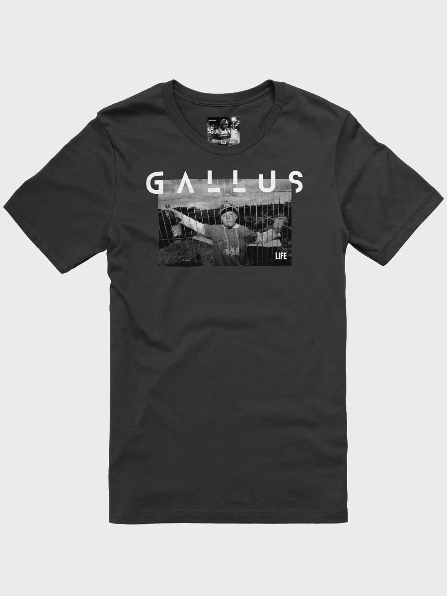 Gallus 2025 Life Collection product image (7)