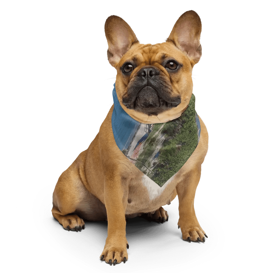 "Lido" Beach Serenity Bandana product image (4)