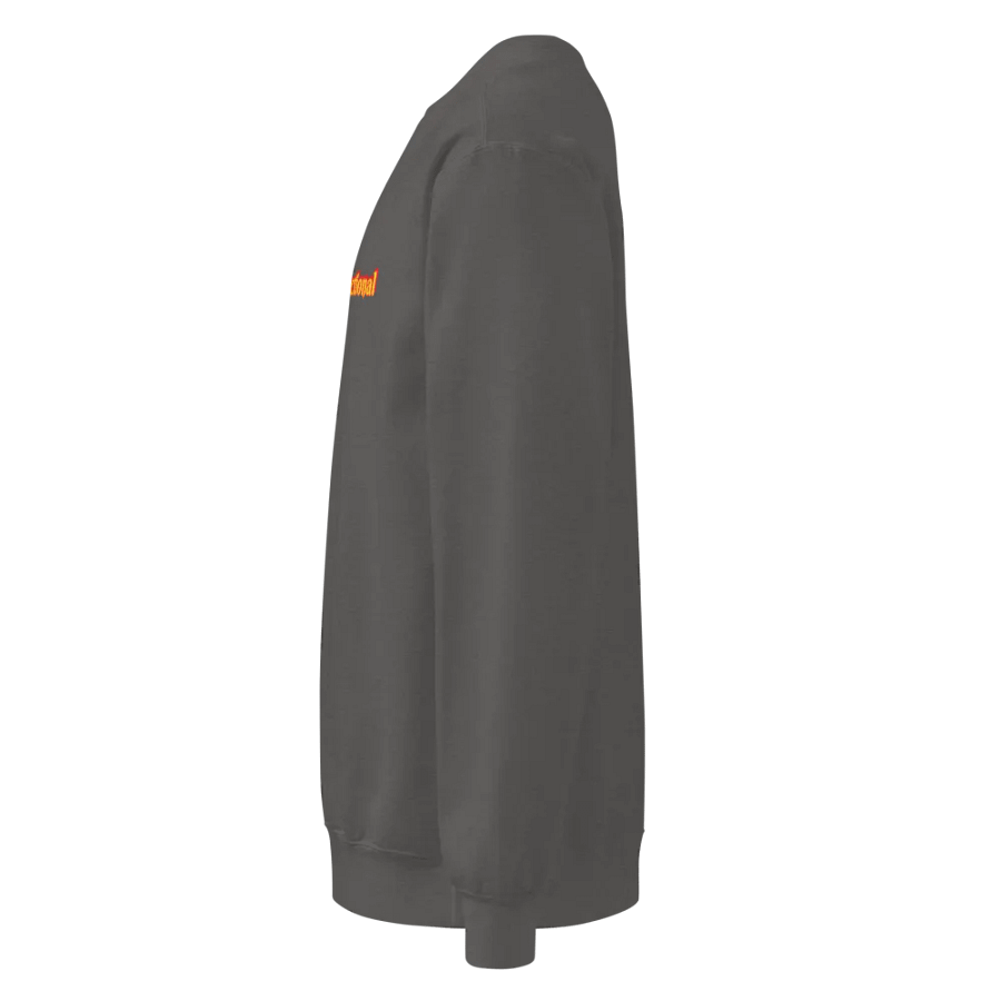 A Little dysfunctional SweatShirt product image (37)