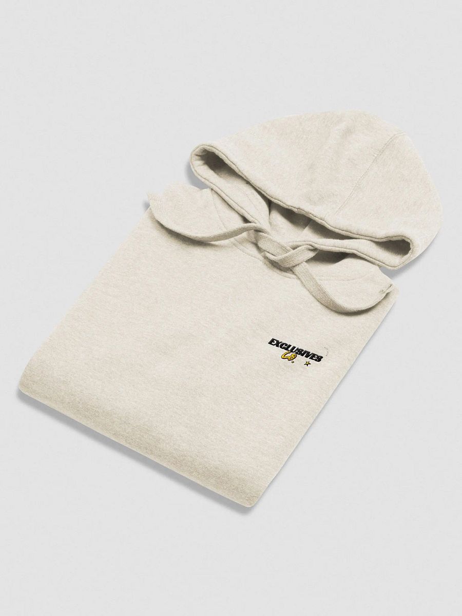 Exclusives Co. Unisex Premium Hoodie (Stitched) product image (29)