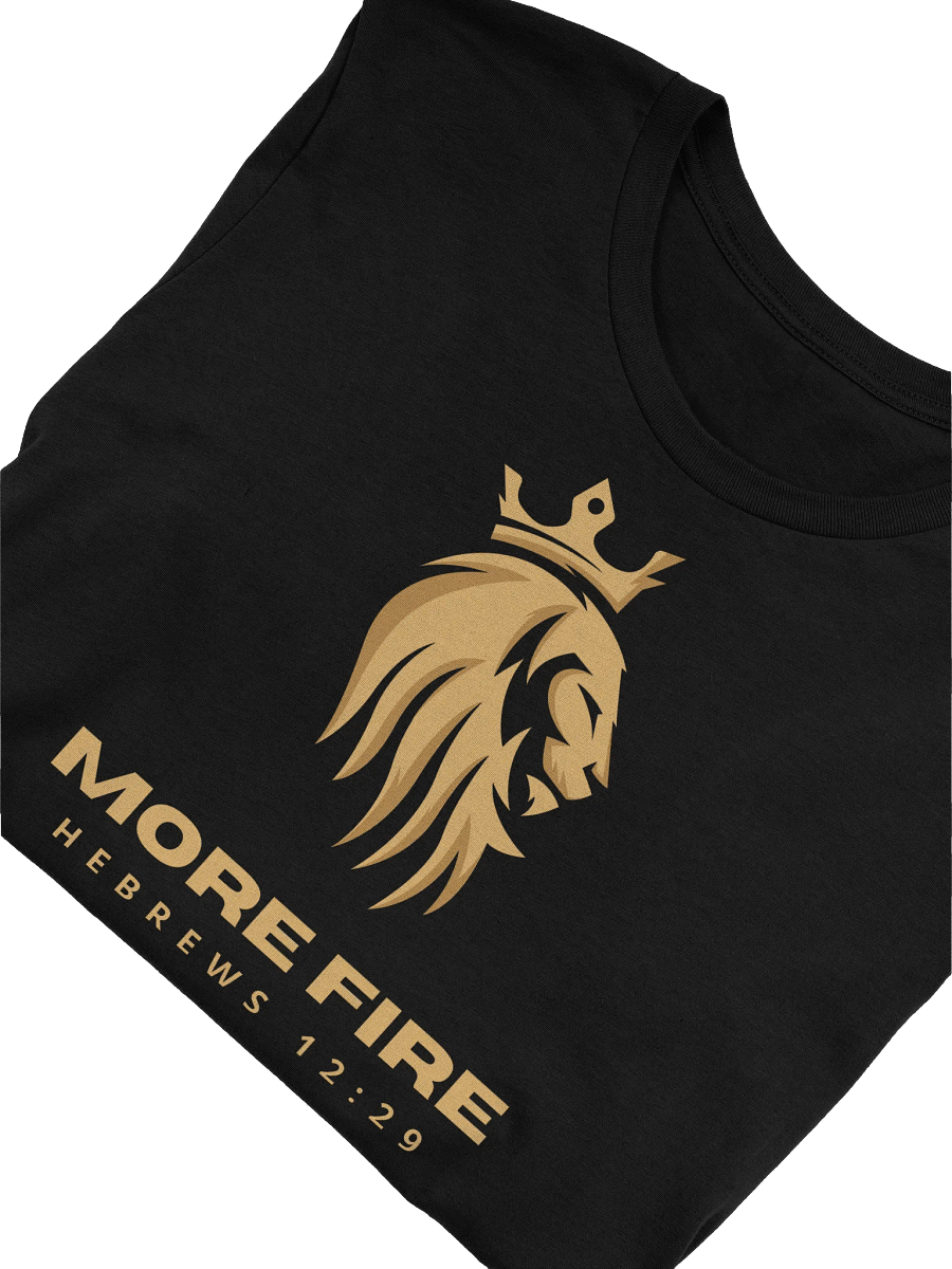 Heb. 12:29 Lion Logo T Shirt product image (28)