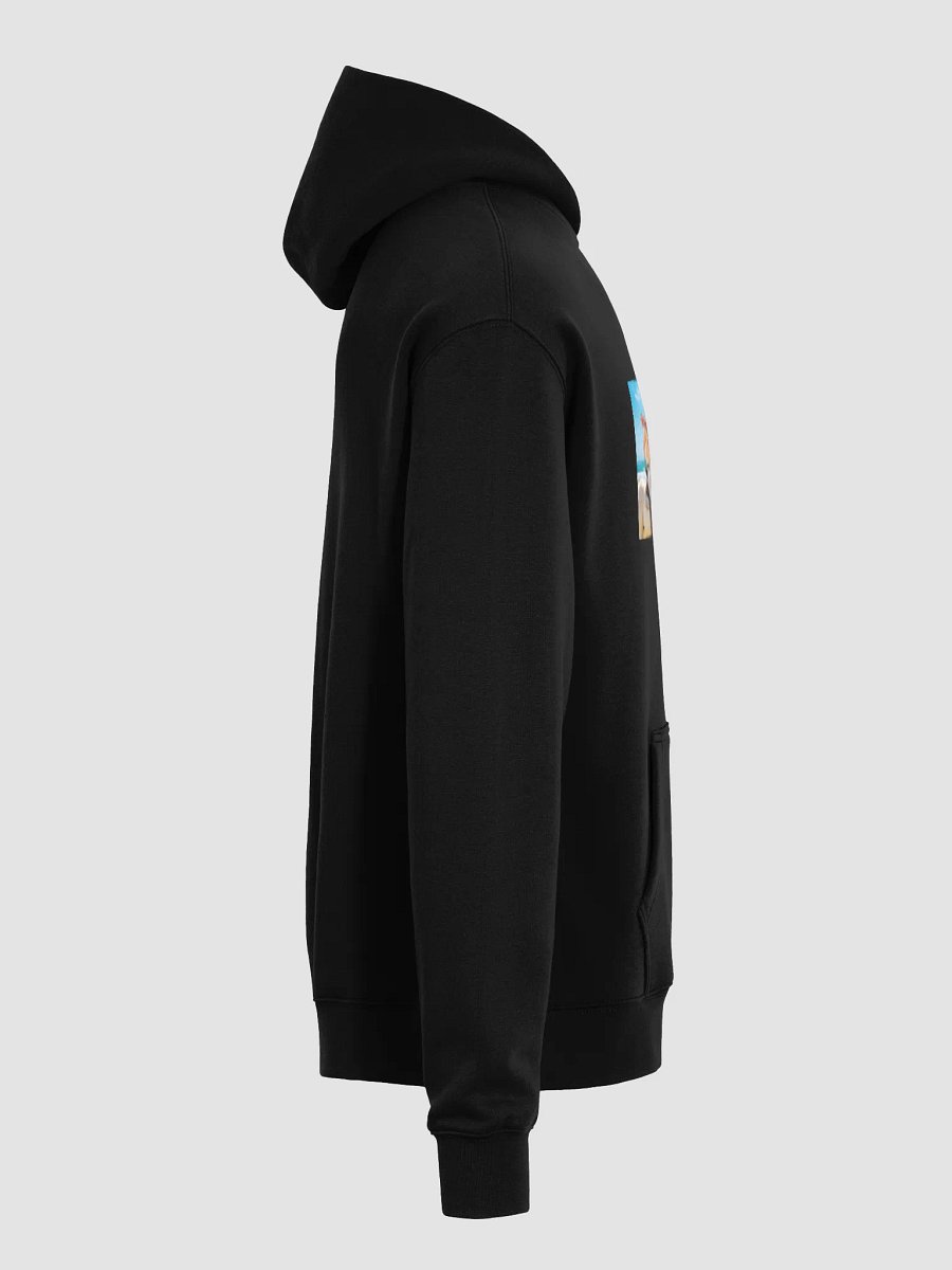 Pollen and Provocative Unisex Premium Oversized Hoodie product image (7)