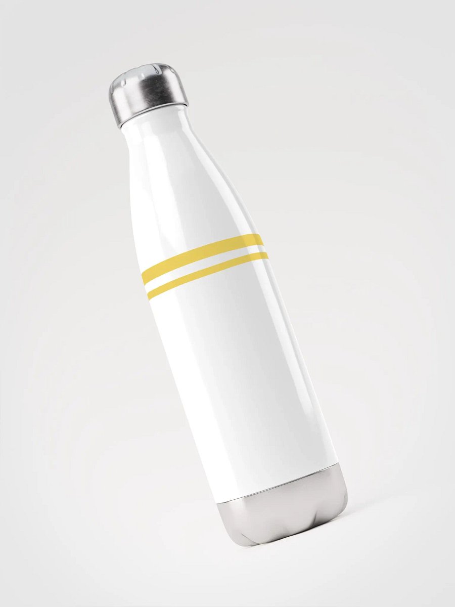 Stainless Steel Water Bottle product image (3)