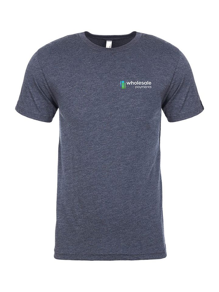 Wholesale Payments - Triblend T-Shirt product image (1)