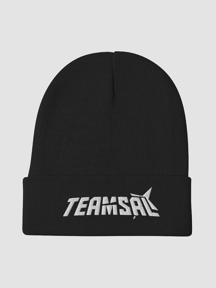 TEAM SAL BEANIE product image (1)