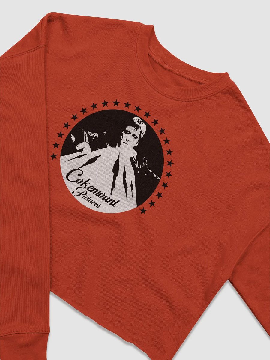 Cokemount Pictures Bella+Canvas Women's Fleece Crop Sweatshirt product image (3)