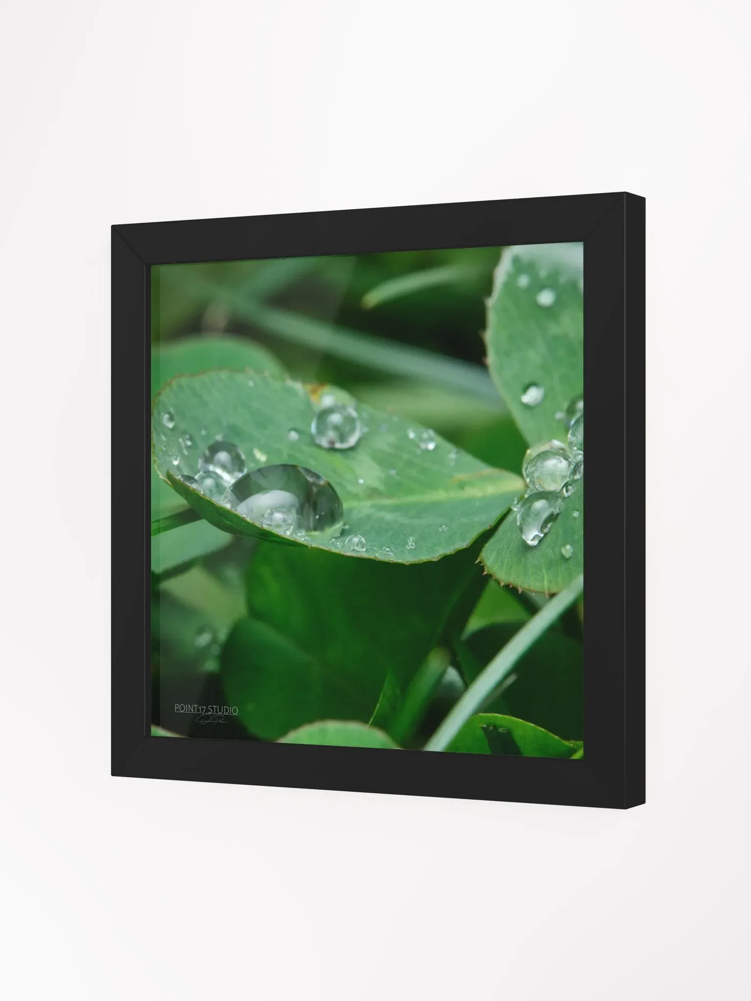 Dew Gems #8 - Framed Print product image (2)