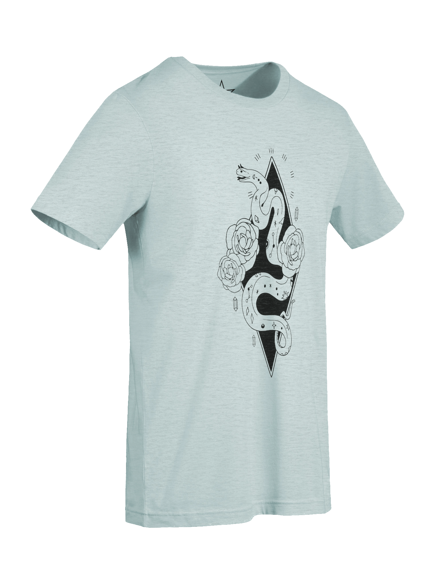 Texas Rose and Rattlesnake Unisex T-Shirt product image (69)