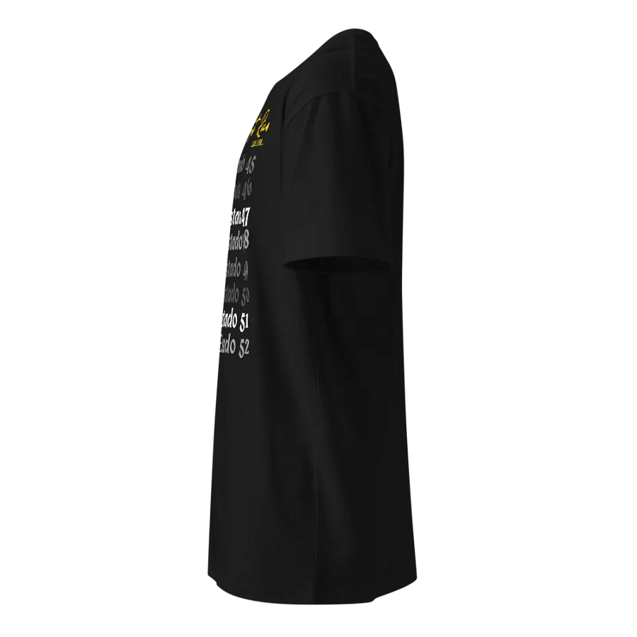 Camiseta Negra Unisex - Estrella Fugaz product image (3)