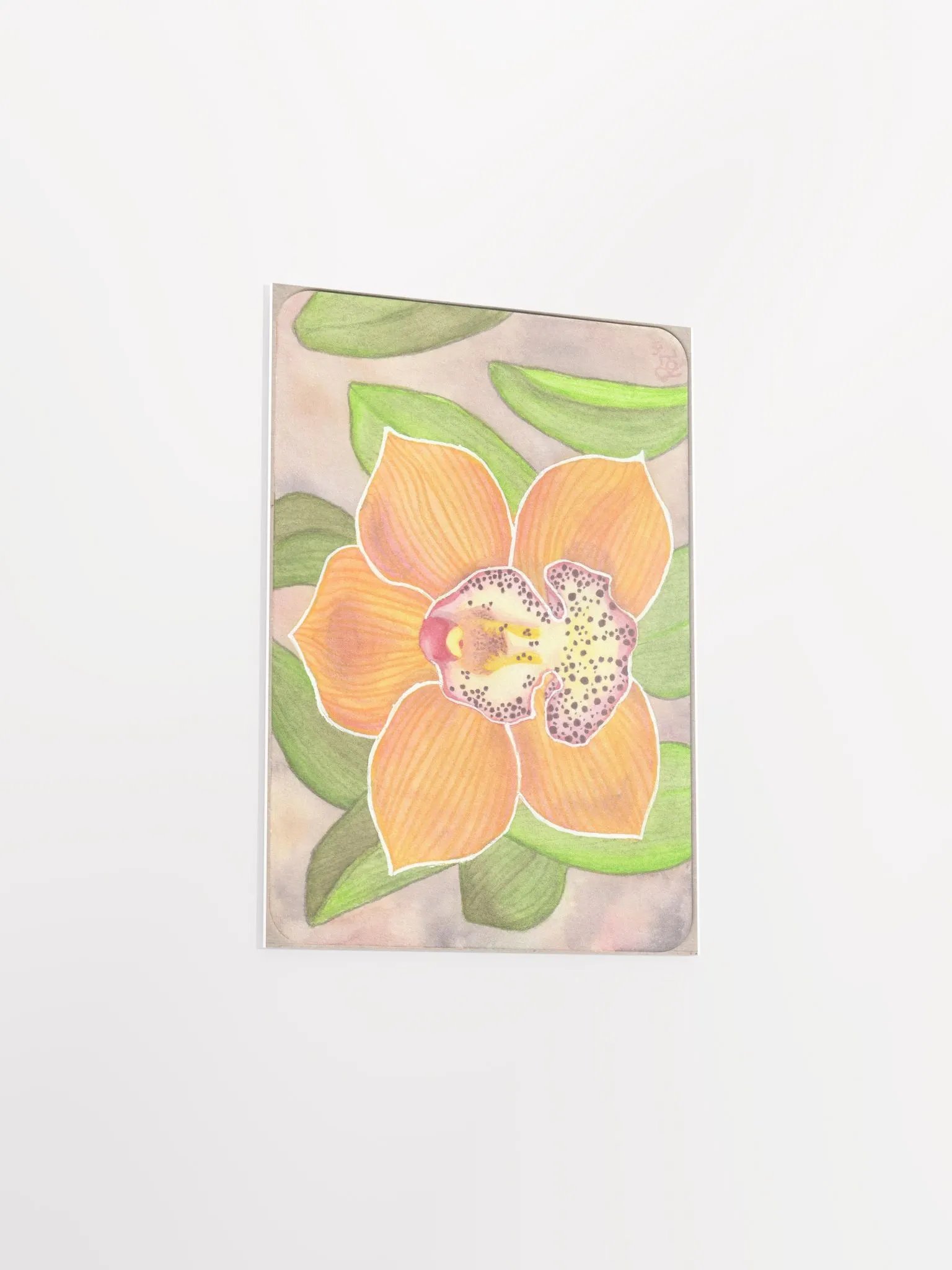 Orchid, Barrita Eminence product image (3)