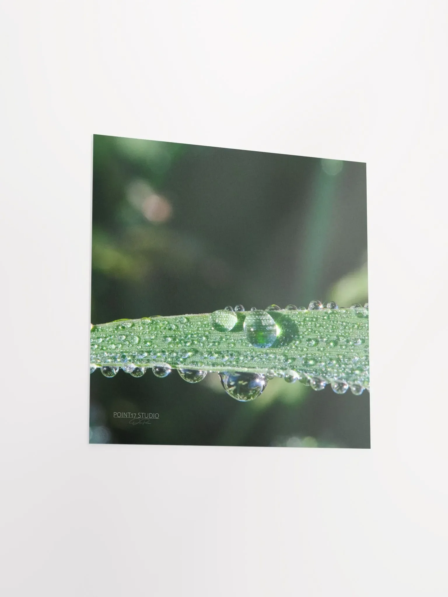 Dew Gems #2 - Print product image (8)