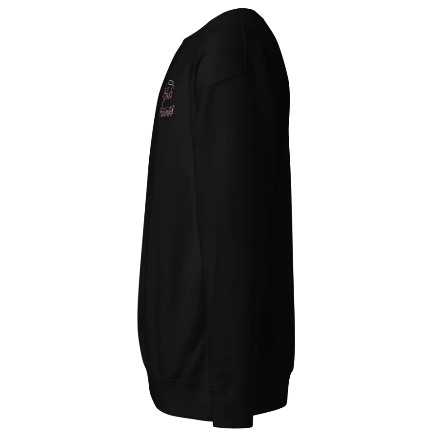Embroidered Sweatshirt (no wings) - God's Favorite product image (2)