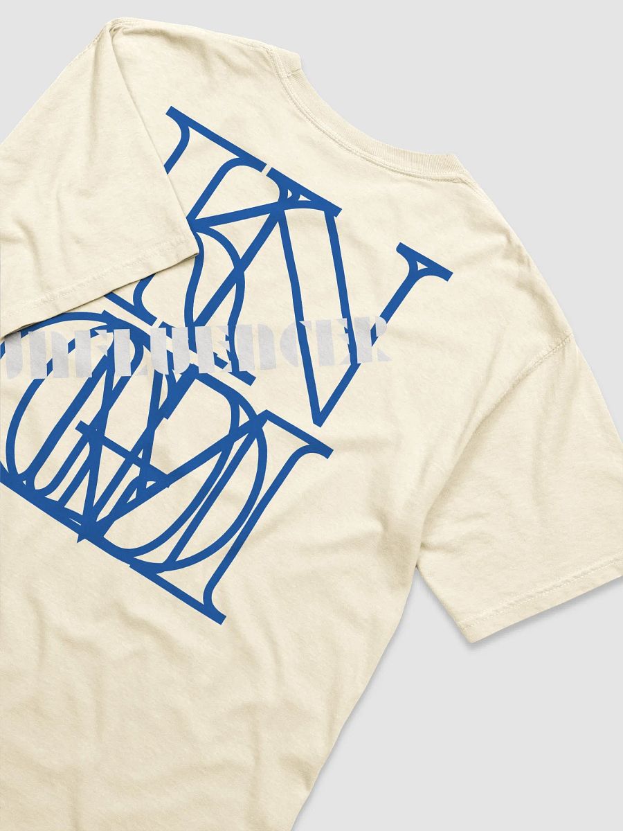 KINGDOM INFLUENCING product image (20)