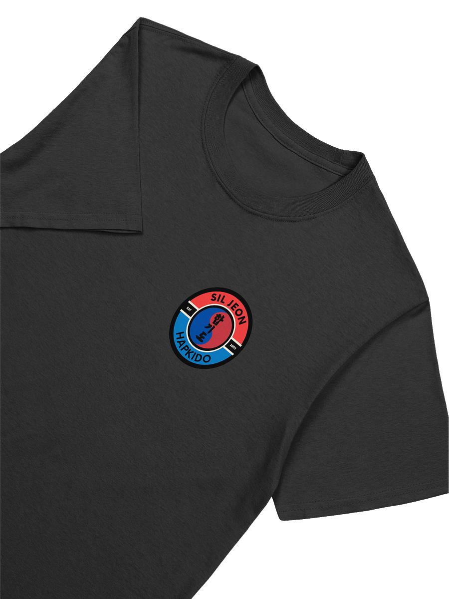 SilJeon Hapkido Organization Shirt! product image (7)