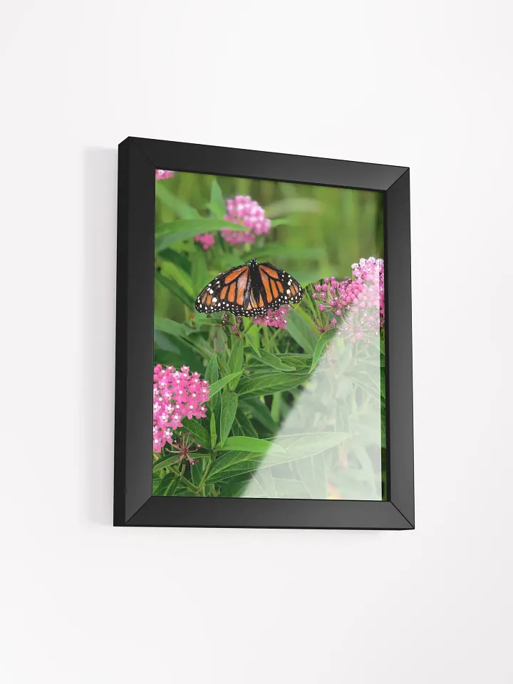 Monarch Butterfly High Quality Matte Poster product image (2)