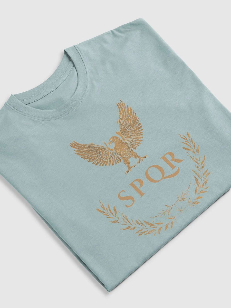 Gold - SPQR Heavyweight Premium T-Shirt product image (32)