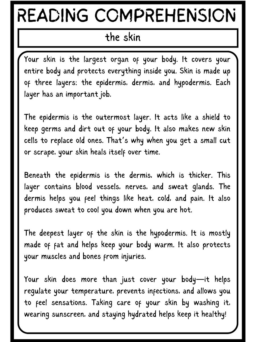 reading comprehension about the skin for grade 5 product image (2)
