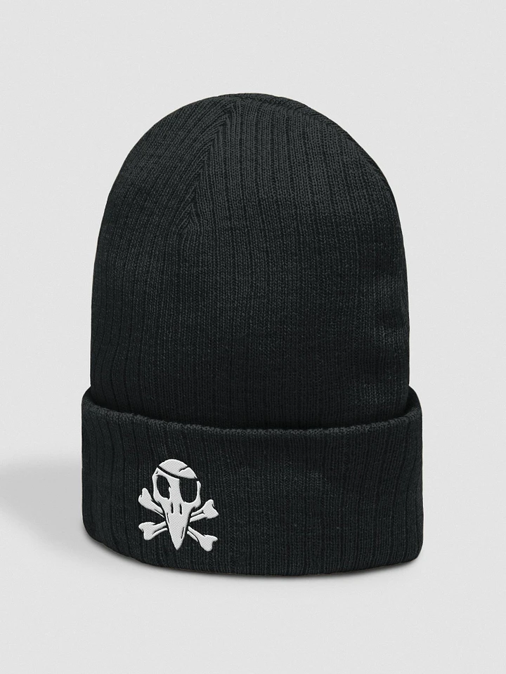 Crow and Crossbones Embroidered Beanie product image (2)