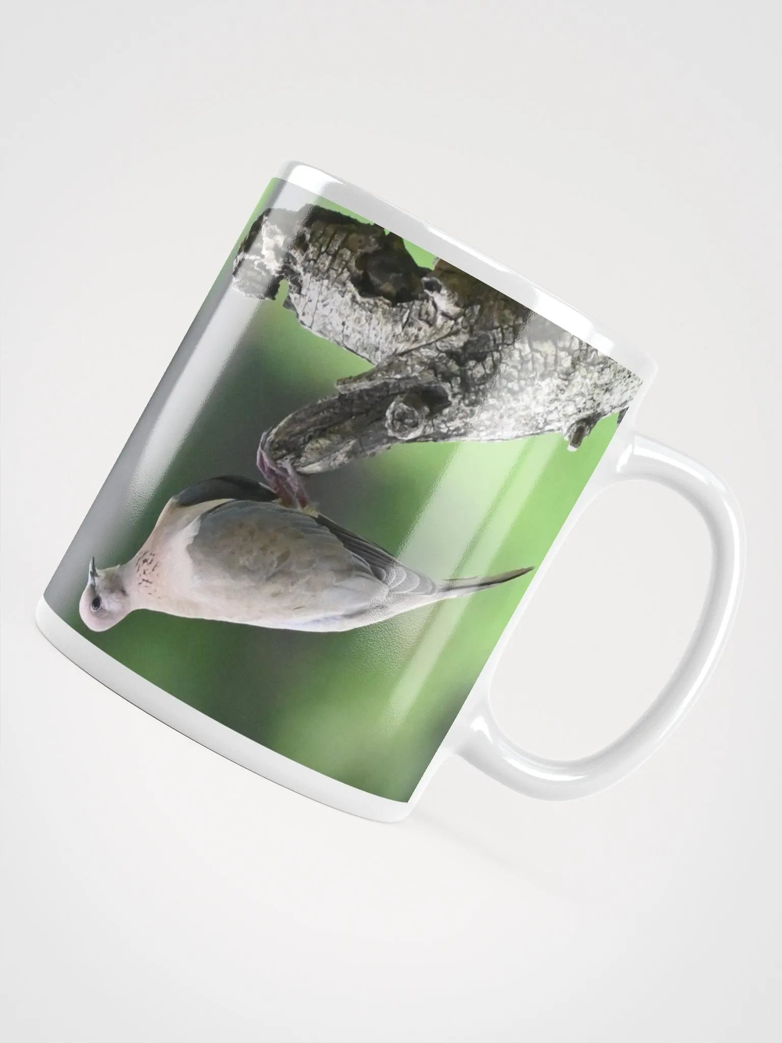 IUCAA Birds MUG product image (4)