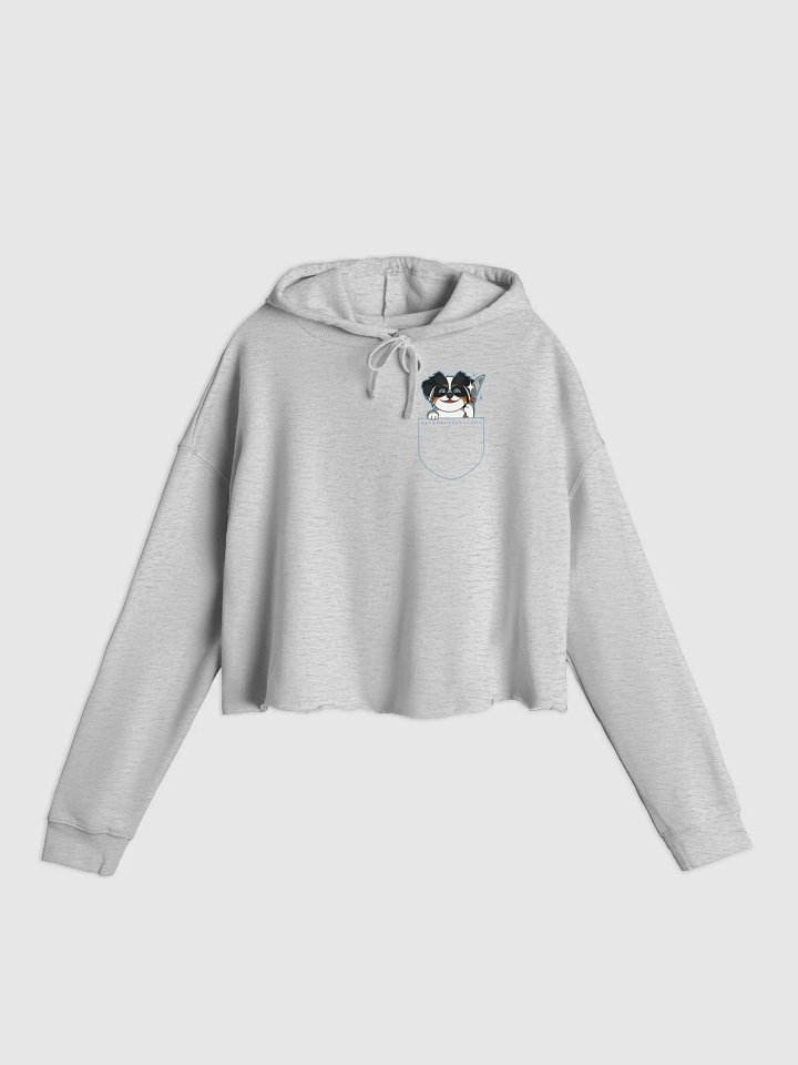 Ember in your Pocket! Crop Hoodie product image (1)