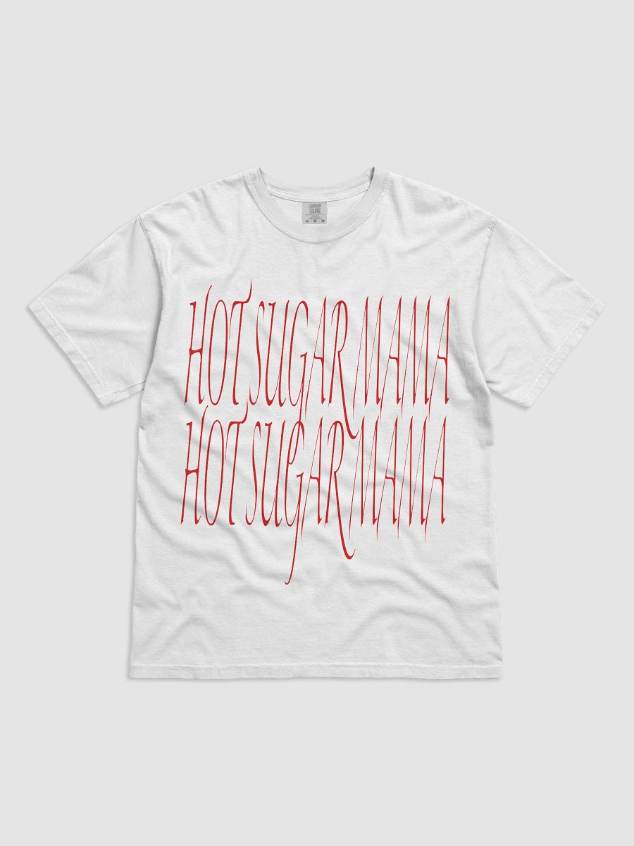 HSM 4 product image (1)