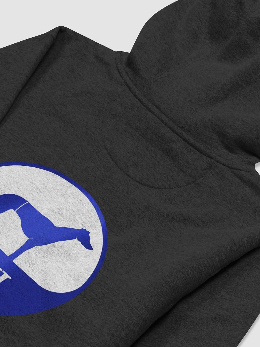 BWJ Hoody (back & front) product image (19)