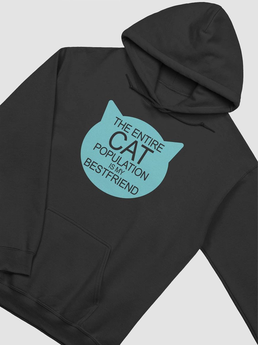 Cat population friend - hoodie product image (11)