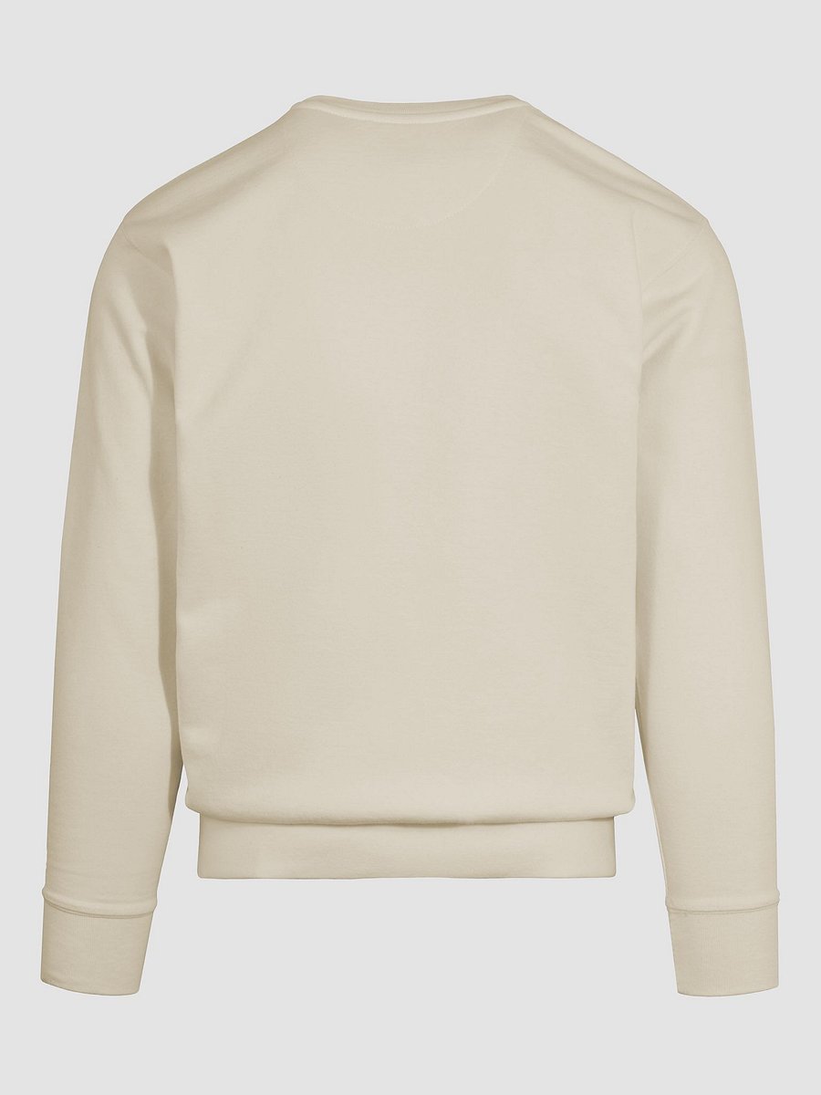 Chic Collared Visionary Sweatshirt product image (66)