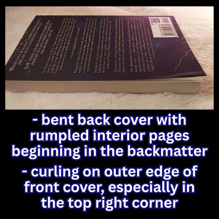 Damaged & Discounted Paperback: This Midsummer Heart product image (2)