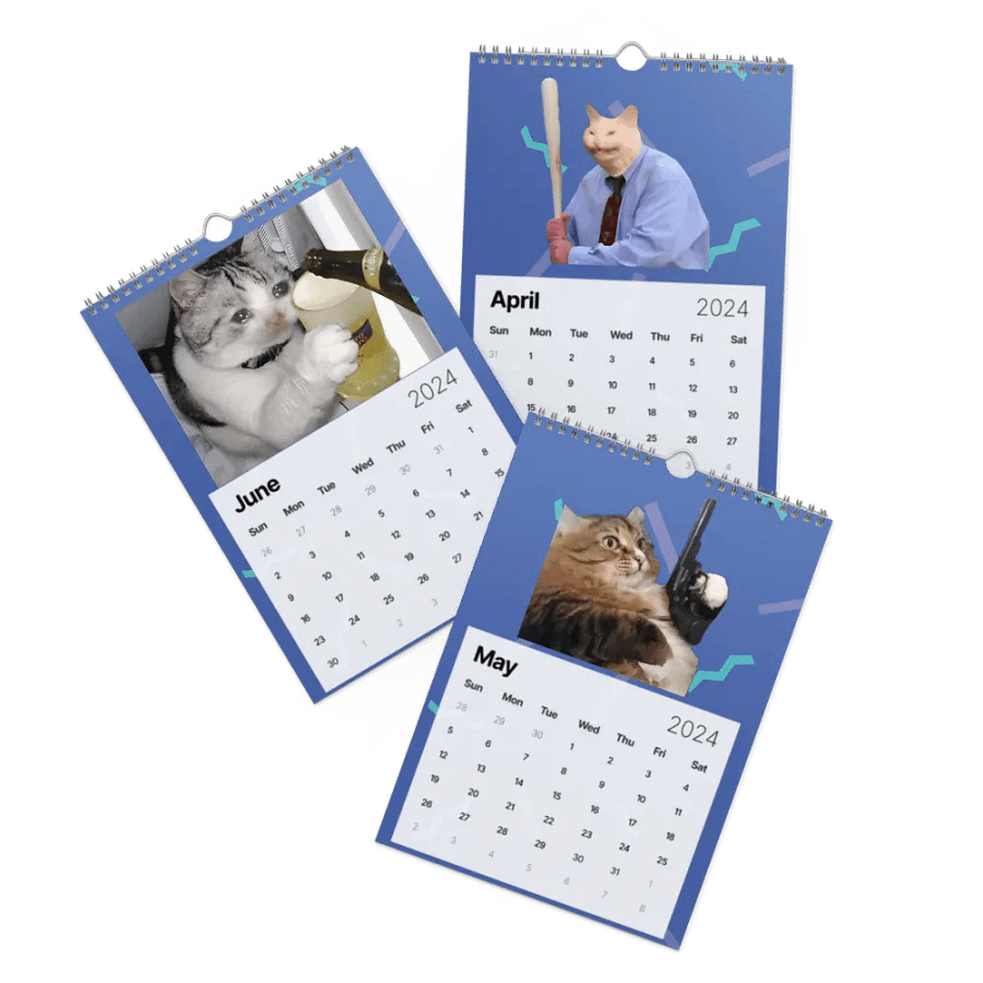 Wall Calendar (2024): Meme Cats product image (3)