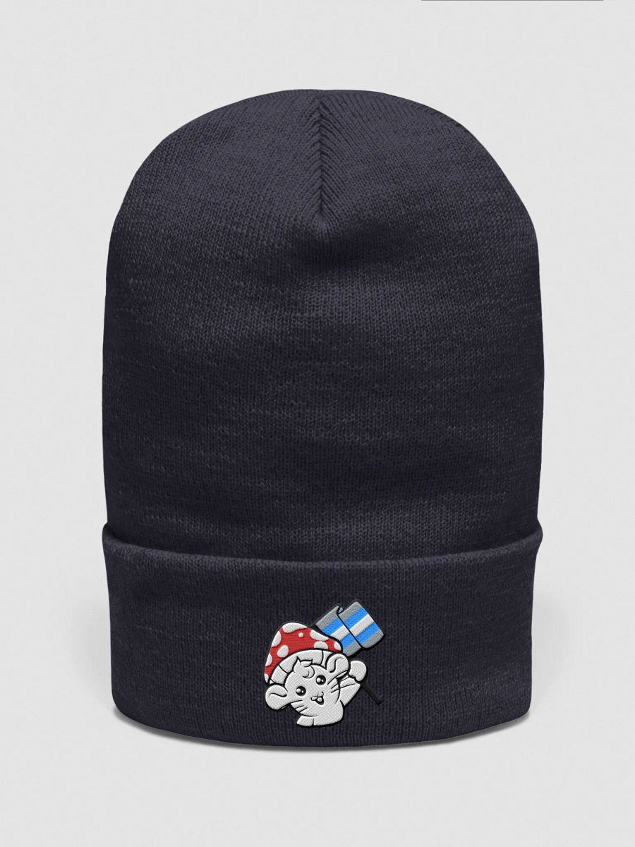 Demiboy beanie product image (1)