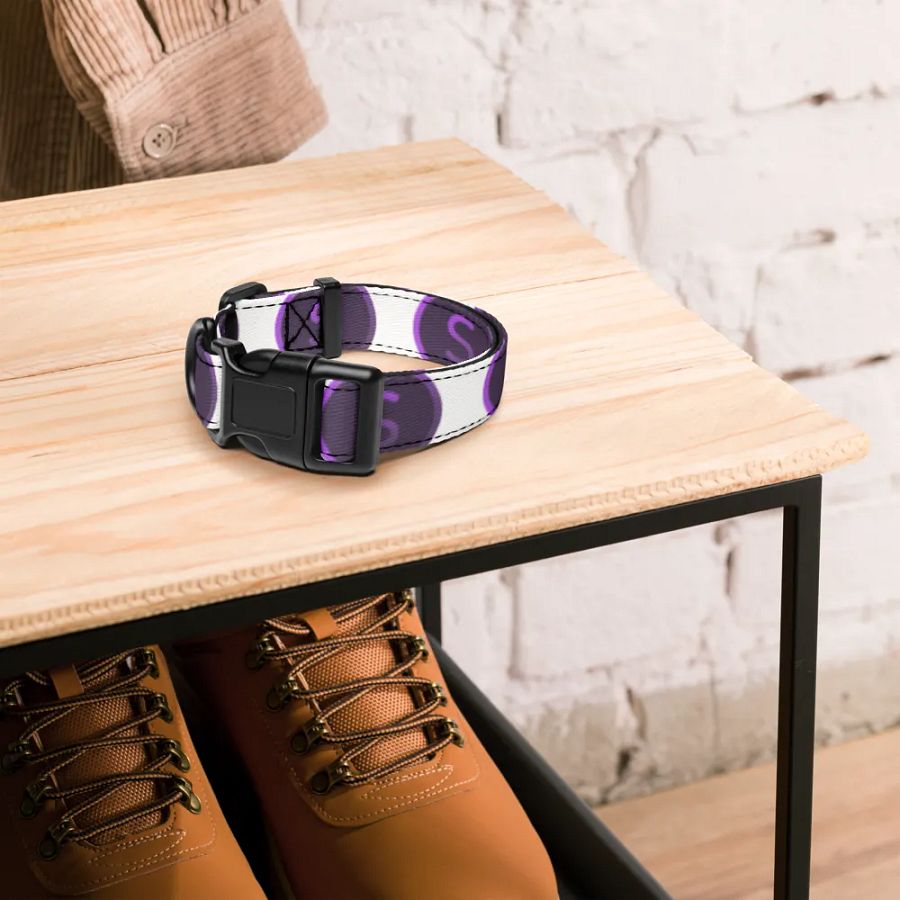 Selenite Collar product image (4)