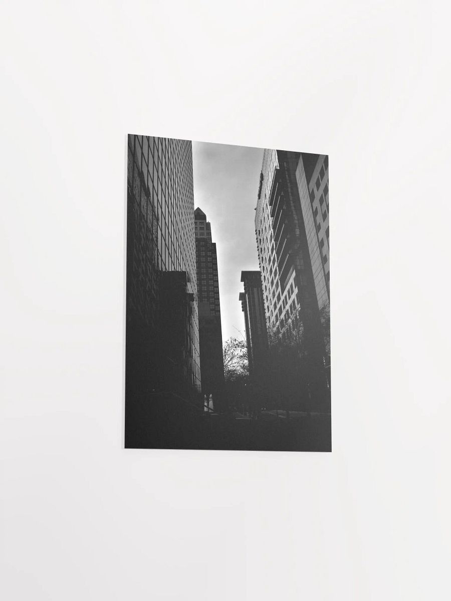 Downtown Orlando 3 product image (35)