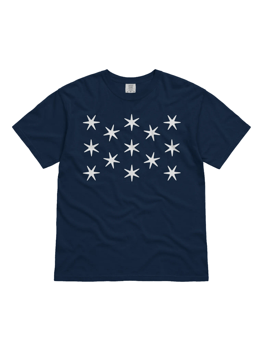 Washington Standard T-shirt product image (1)