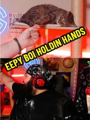 O’Malley the eepy boi wants to hold hands! #eepy #eepycat #cat #catsoftiktok #cute #funny 