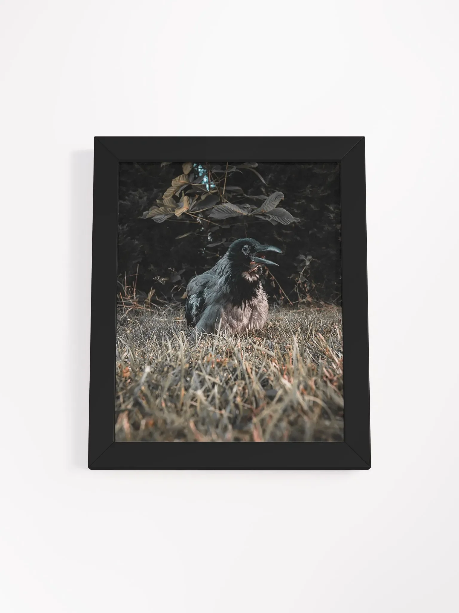 Hafez's Last Sunbeam product image (1)