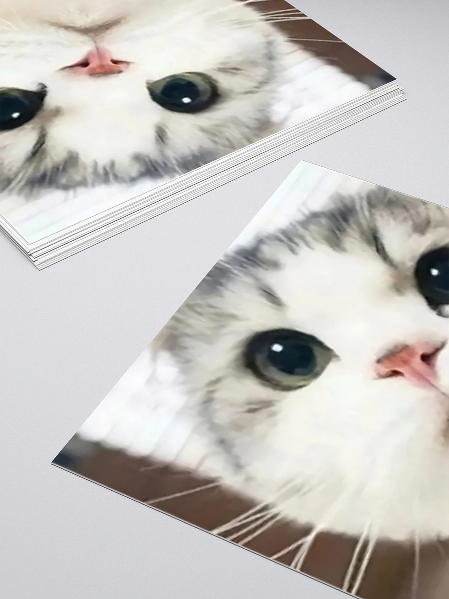 Kiss Cut Stickers: Meme Cats product image (4)