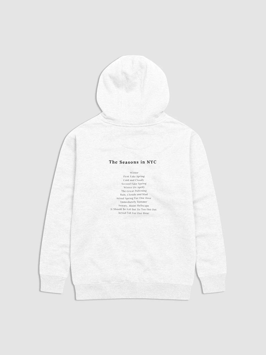NYMW Seasons Hoodie product image (2)